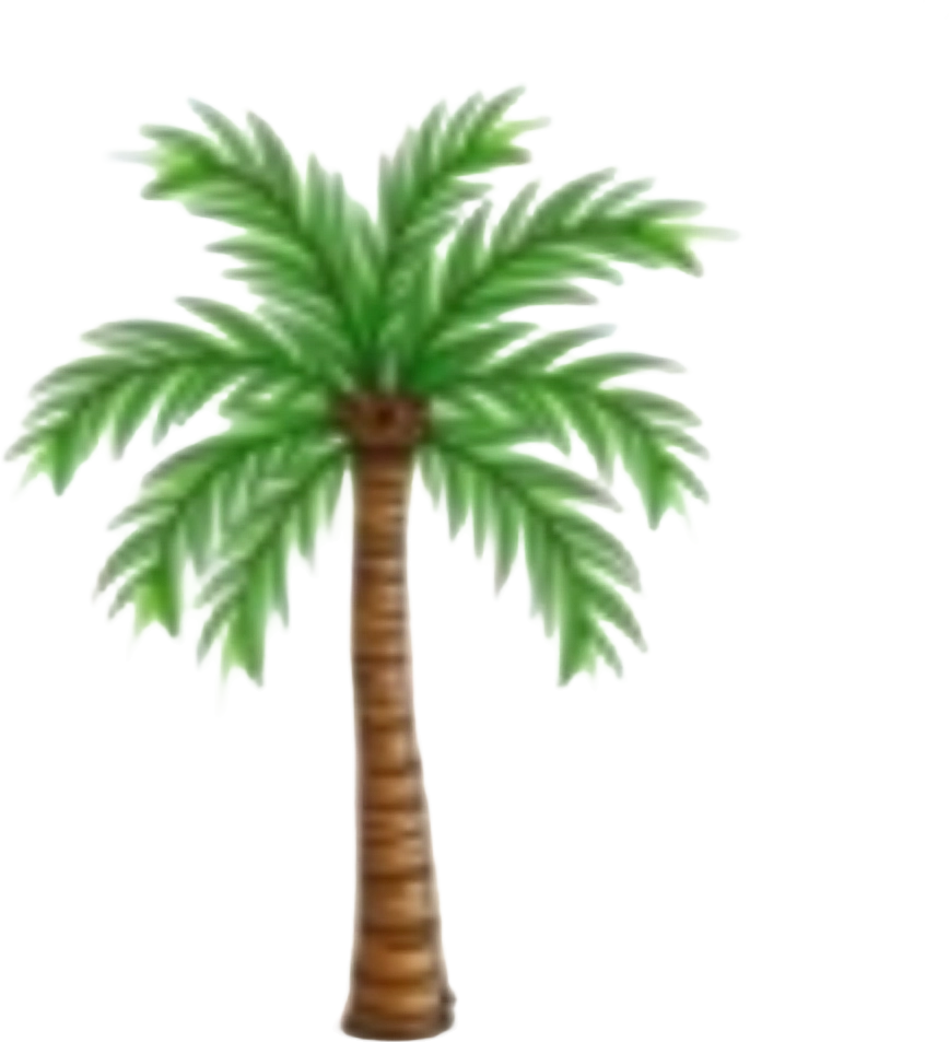 Tropical Palm Tree